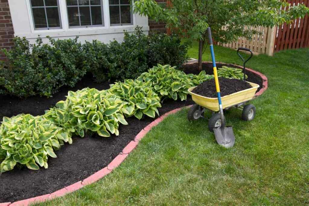 Know Everything about Mulch for Landscape in Ogden, UT