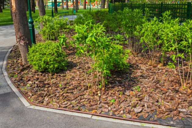 A Garden bed prepared with fresh bark mulch around shrubs by Sandee's soil and Rock in Ogden, UT
