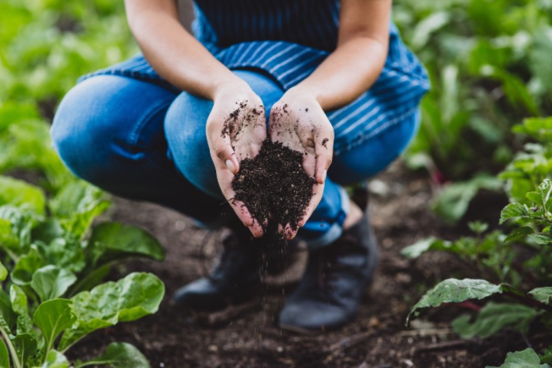 A gardener holding soil for choosing the right gardening sand by Sandee's Soil and Rock